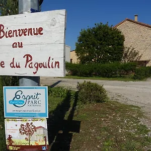Du Pagoulin - Hyères